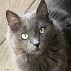 Meet your Posher, Valerie